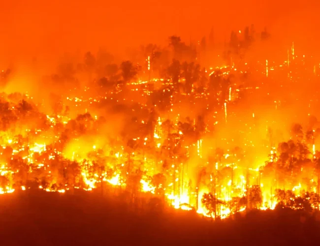 प्युठानमा वनको डढेलो बस्तीमा पस्दा ११ घर जलेर नष्ट