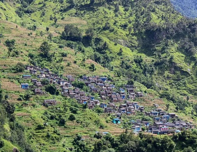 बसाइँसराइले रित्तिदै गाउँघरः झाडी भए आङ्गन र पिँढी