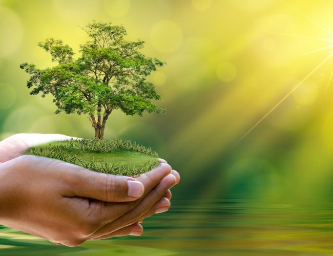 विश्व वातावरण दिवस मनाउँदै