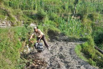 हलो छोडेर ट्याक्टर जोत्दै हिमाली जिल्लाका किसान (भिडियो सहित)