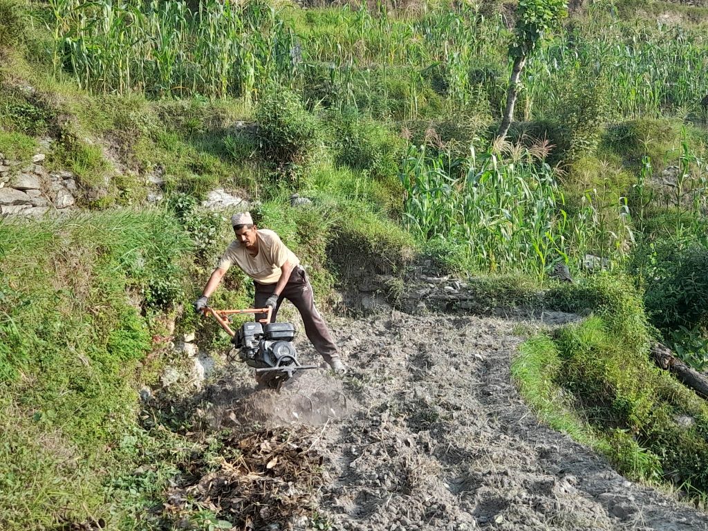 गृहपृष्ठ