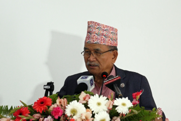 चालु आ.व.मा ललितपुर महानगरपालिकाको बेरुजु ०.५२ प्रतिशत