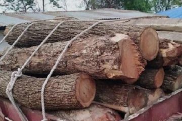कंचनपुरमा वेवारिसे सागुनको काठ बरामद, अवैध ढुङ्गा ओसार्ने दुई ट्याक्टर नियन्त्रणमा