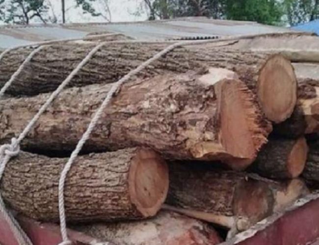 कंचनपुरमा वेवारिसे सागुनको काठ बरामद, अवैध ढुङ्गा ओसार्ने दुई ट्याक्टर नियन्त्रणमा