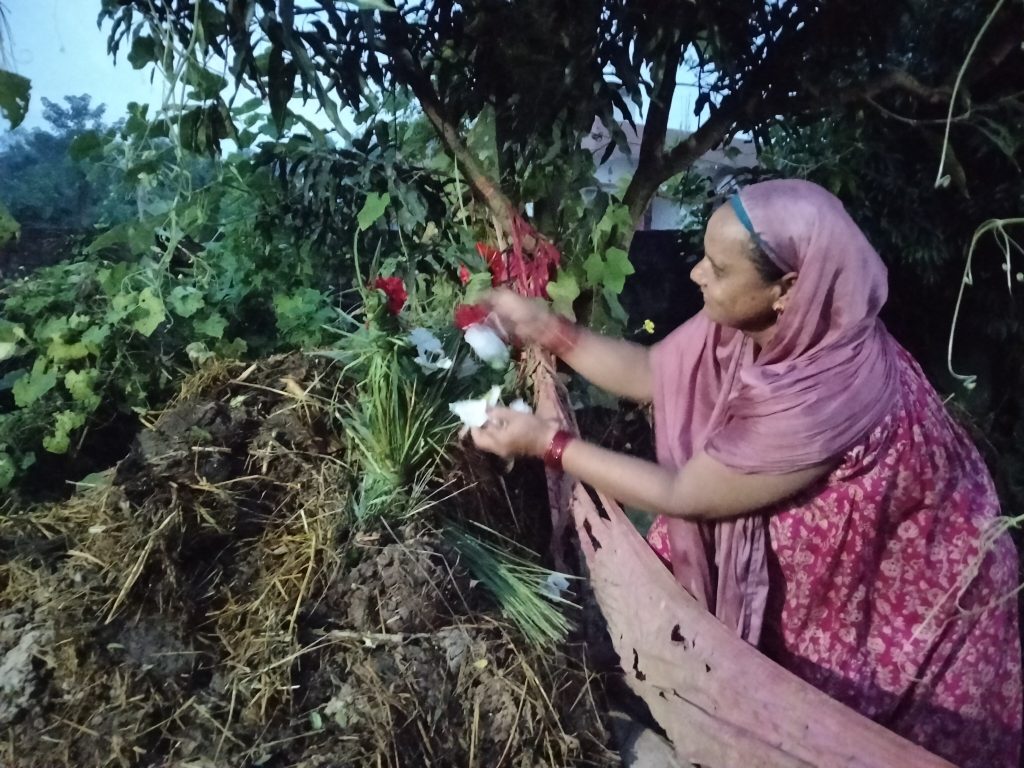 सुदुरपस्चिममा आज “घस त्यार”