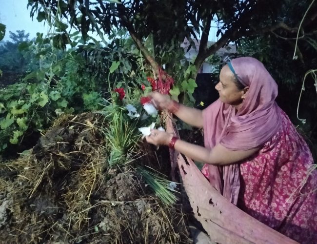 सुदुरपस्चिममा आज “घस त्यार”
